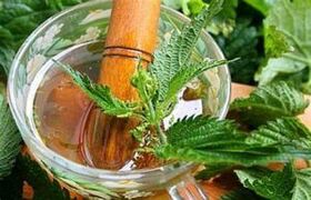 use of nettles to improve potency